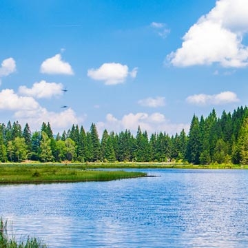 Environnement et qualité