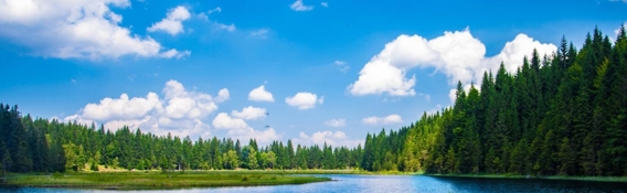 Environnement et qualité